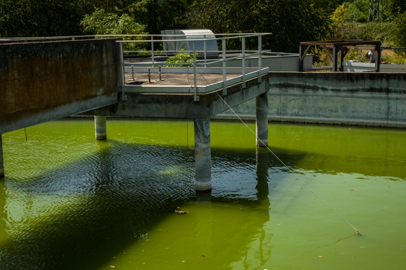 2014 06 09 Papeterie  IMG 9146